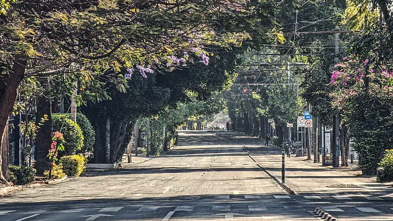 calles de Guadalajara (4).jpeg